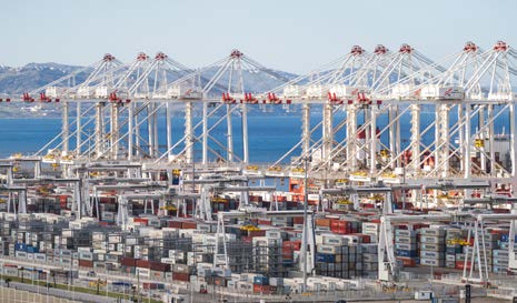 RECEPTION-DE-NOUVELLES-GRUES
